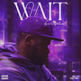 Wait (Explicit)