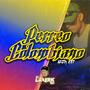 Perreo Colombiano (Mega Rkt) (feat. Amirto Baby & Sebiche)