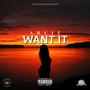 Want It (Explicit)