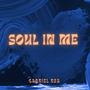 Soul In Me