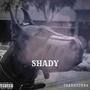 SHADY (Explicit)