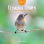 Elements Series (Vol. 4, 3D Audio Bird Singing)