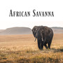 African Savanna: Collection of African Sounds of Nature with Traditional Rhythms of Tribal Drums