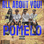 All About You - POMELO