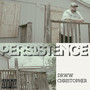 Persistence (Explicit)