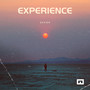 Experience