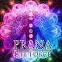 Prana: Life Force – New Age Songs for Pilates, Reiki, Qi Gong & Yoga, Chakra Balancing, Healing Power, Relaxing Flute & Piano Music