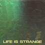life is strange 2