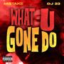 What You Gon' Do (feat. DJ 23) [Explicit]