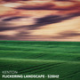 Flickering Landscape - 528hz