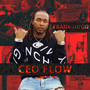 Ceo Flow