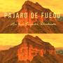 Pajaro de Fuego (Live from Ecuador)