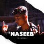 Naseeb