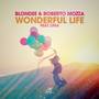 Wonderful Life