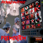 Premortem (Explicit)