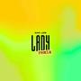 Lady (Remix)