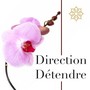 Direction Détendre - Musique Instrumentale Apaisante et Calmante