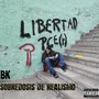 Sobredosis de Realismo (Maqueta) [Explicit]