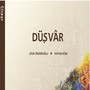 Düşvar