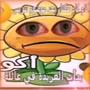 omg (Explicit)