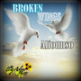 Broken Wings