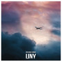 IJNY