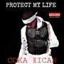 Protect My Life (Explicit)