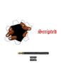 Scripted (Explicit)