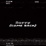 Sorry (Come Back) [Explicit]