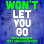 Won't Let You Go (2016 Rework)