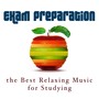 Exam Preparation - Improve your Concentration with the Best Relaxing Music for Studying and for Reading