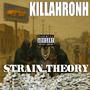 STRAIN THEORY (Explicit)