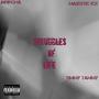 Struggles Of Life (feat. Majestic Ice & Timmy Tammy) [Explicit]