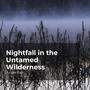 Nightfall in the Untamed Wilderness