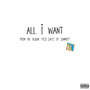 All i Want (Explicit)