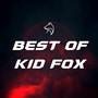 Best of Kid Fox