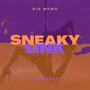 Sneaky Link (Explicit)