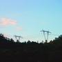 From The Treeline (Explicit)