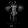ELEPHANT IN THE ROOM (Explicit)