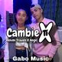 Cambie X Ti (Explicit)