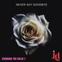 Never Say Goodbye (Explicit)