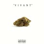 Vivant