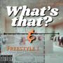 What's that/ Freestyle 1 (feat. Young Scammer) [Explicit]