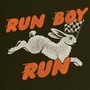 Run Boy Run