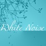 White Noise