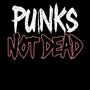 Punks Not Dead (Explicit)