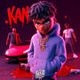 KAN (Explicit)