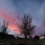 Motions