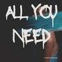 All You Need (Explicit)