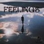 Feelings